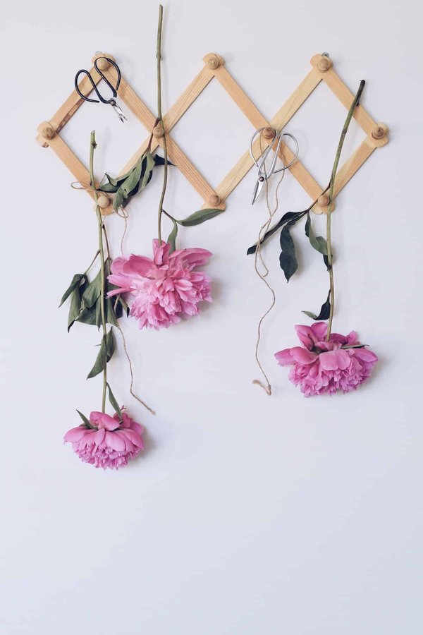 Comment choisir la patère en bois?