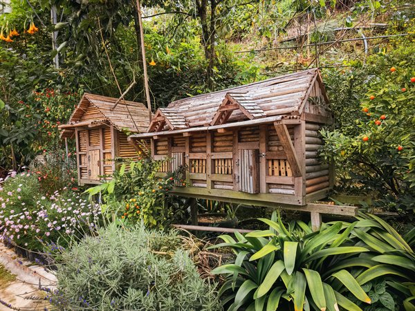 Quels sont les avantages d'installer un bureau professionnel en ossature bois dans votre jardin ?