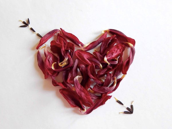 Analyse des thèmes de l'amour dans les œuvres de Jane Austen