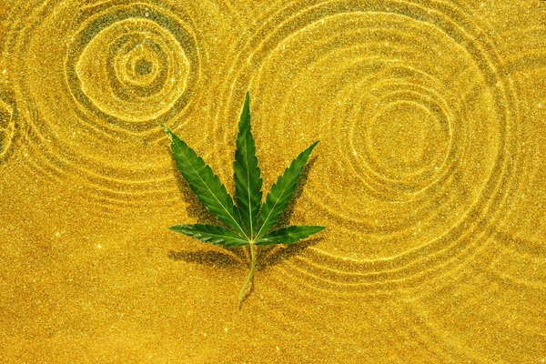 Comment la résine de chanvre 3x filtrée française se distingue-t-elle sur le marché ?