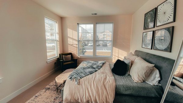 Quelles sont les principales raisons qui rendent les punaises de lit si résistantes ?